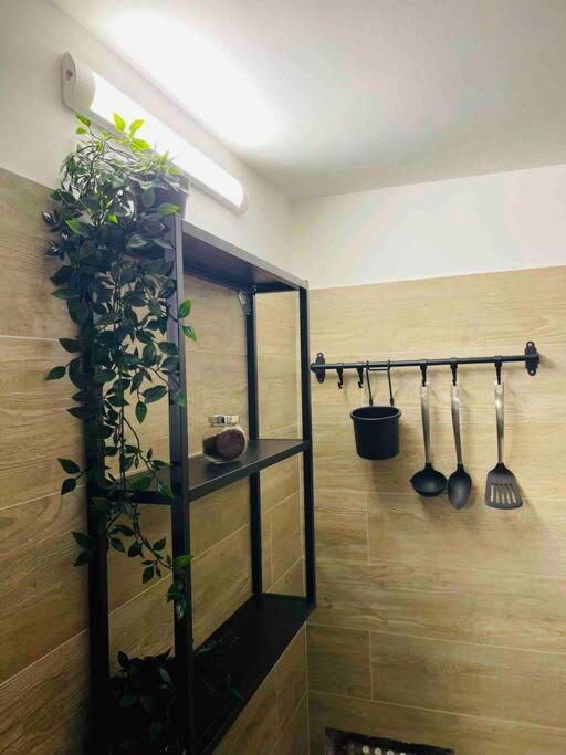 Apartment Bella Sicilia *
